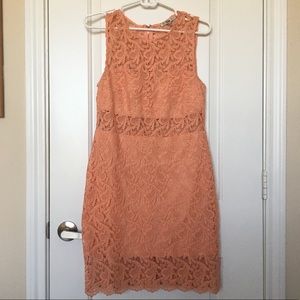 Lace Illusion Bodycon Mini Dress (size L)
